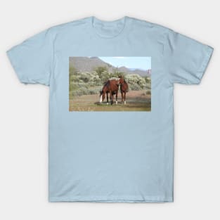 Wild horses, salt river, Sonoran desert, Arizona, wildlife gifts T-Shirt
